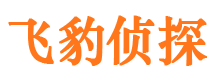 七里河市调查取证